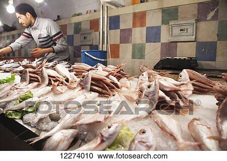 Fish seller, Main Market; Tunis, Tunisia View Large Photo Image Stock Image - Fish seller, Main Market; Tunis, Tunisia. Fotosearch