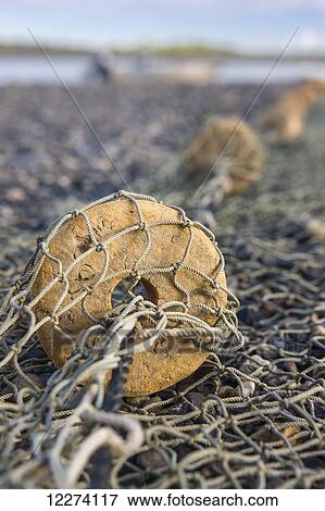 Fishing nets with sponge floats on the banks of the Noatak River, Noatak, Arctic Alaska, Summer, USA View Large Photo Image Stock Photo - Fishing nets with sponge floats on the banks of the Noatak River, Noatak, Arctic Alaska, Summer, USA. Fotosearch