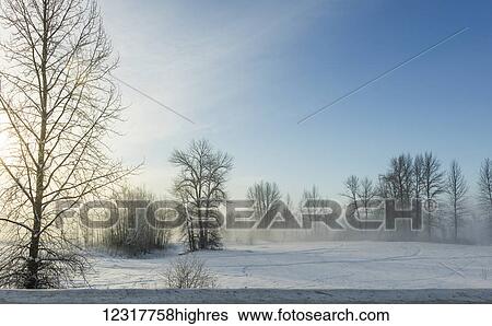 Stock Photograph - Fog over a snowy field at sunrise in winter; Prince George, British Columbia, Canada. Fotosearch