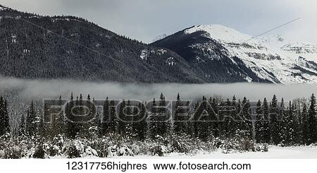 Stock Photograph - Fog settled over the forest in the Rocky Mountains; British Columbia, Canada. Fotosearch