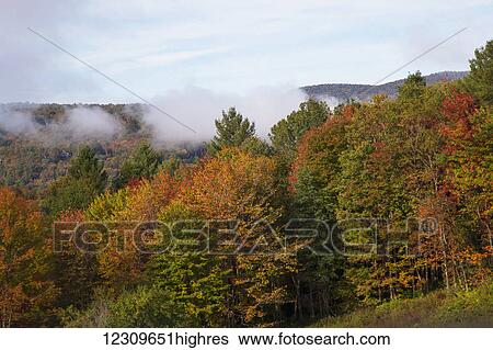 Stock Photograph - Foggy morning in autumn; Waterbury, Vermont, United States of America. Fotosearch