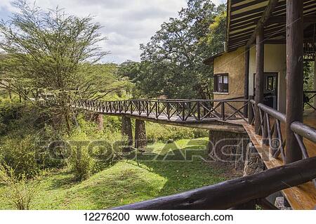 Stock Image - Footbridge to the Emakoko lodge, Uhuru Gardens; Nairobi, Kenya. Fotosearch