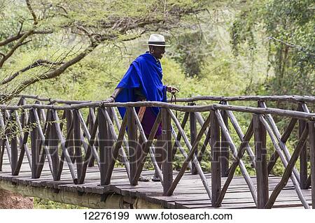 Stock Photo - Footbridge to the Emakoko lodge, Uhuru Gardens; Nairobi, Kenya. Fotosearch