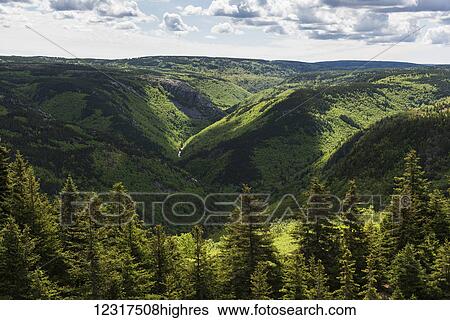 Forests and green foliage covering the mountainous landscape of Cape Breton Island; Pleasant Bay, Nova Scotia, Canada View Large Photo Image Stock Photograph - Forests and green foliage covering the mountainous landscape of Cape Breton Island; Pleasant Bay, Nova Scotia, Canada. Fotosearch