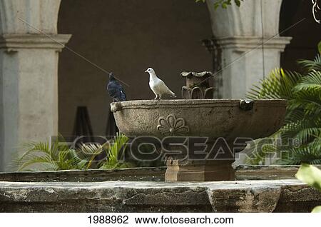 Stock Image - Fountain In The Courtyard Of The Santo Domingo Temple, Chiapa De Corzo, Chiapas, Mexico. Fotosearch