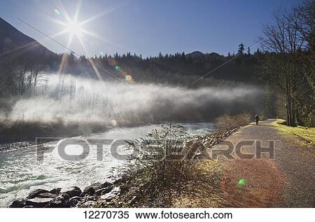 Stock Photography - Frost and mist along Chilliwack River Road; Chilliwack, British Columbia, Canada. Fotosearch