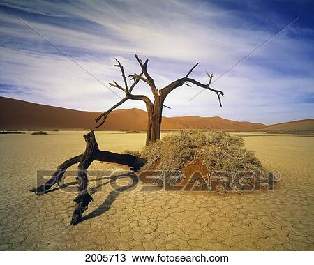 Stock Image - Fv5212, Natural Moments Photography; Deadvlei, Namib Desert, Namibia, Africa. Fotosearch