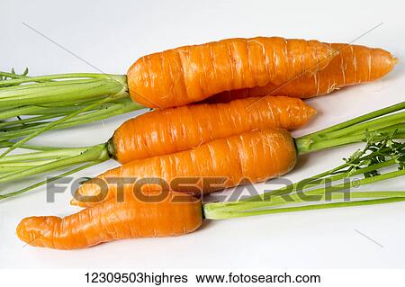 Stock Photograph - Garden fresh carrots on a white background; Chilliwack, British Columbia, Canada. Fotosearch
