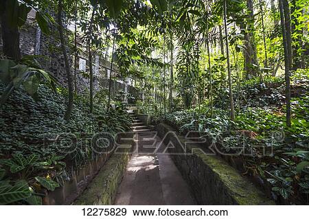 Gardens of the Ullen Sentalu Museum, Central Java, Indonesia View Large Photo Image Stock Photo - Gardens of the Ullen Sentalu Museum, Central Java, Indonesia. Fotosearch