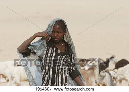 Stock Photo - Goat herder near Timbuktu, Mali. Fotosearch