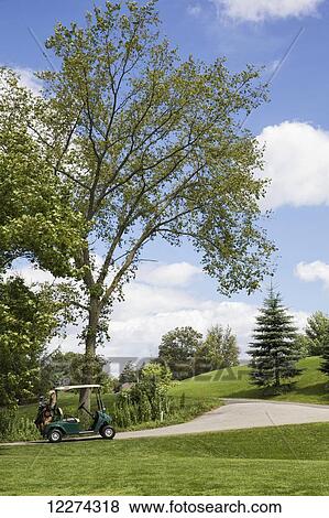 Stock Photo - Golf cart on golf course; Ontario, Canada. Fotosearch