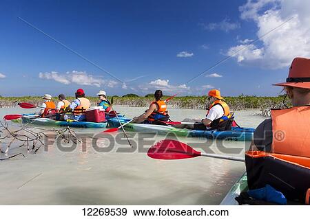Group of double kayakers floating in magrove lagoon with blue sky and clouds; Tulum, Quintana Roo, Mexico View Large Photo Image Stock Photo - Group of double kayakers floating in magrove lagoon with blue sky and clouds; Tulum, Quintana Roo, Mexico. Fotosearch