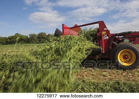 Stock Photo - H5430 windrow merger; New Holland, Pennsylvania, United States of America. Fotosearch
