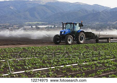 Hauling new irrigation pipes to the fields; Salinas, California, United States of America View Large Photo Image Stock Photography - Hauling new irrigation pipes to the fields; Salinas, California, United States of America. Fotosearch