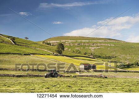 Haymaking in a traditional upland Dales hay meadow; Muker, North Yorkshire, England View Large Photo Image Picture - Haymaking in a traditional upland Dales hay meadow; Muker, North Yorkshire, England. Fotosearch