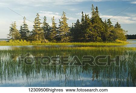 High tide at the shoreline along the Bay of Fundy near Barrington Passage; Nova Scotia, Canada View Large Photo Image Stock Photograph - High tide at the shoreline along the Bay of Fundy near Barrington Passage; Nova Scotia, Canada. Fotosearch