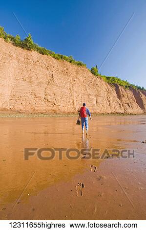 Hiker at low tide along sandstone cliffs, Cape Blomidon Provincial Park in the Minas Basin, Bay of Fundy; Nova Scotia, Canada View Large Photo Image Stock Photograph - Hiker at low tide along sandstone cliffs, Cape Blomidon Provincial Park in the Minas Basin, Bay of Fundy; Nova Scotia, Canada. Fotosearch