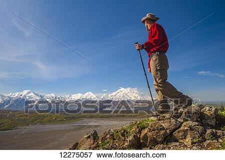 Hiker on a hillside in front of Mt. McKinley and Muldrow Glacier, Denali National Park, Interior Alaska, summer View Large Photo Image Stock Photo - Hiker on a hillside in front of Mt. McKinley and Muldrow Glacier, Denali National Park, Interior Alaska, summer. Fotosearch