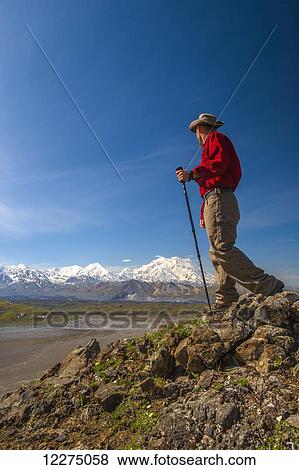 Hiker on a hillside in front of Mt. McKinley and Muldrow Glacier, Denali National Park, Interior Alaska, summer View Large Photo Image Stock Photo - Hiker on a hillside in front of Mt. McKinley and Muldrow Glacier, Denali National Park, Interior Alaska, summer. Fotosearch