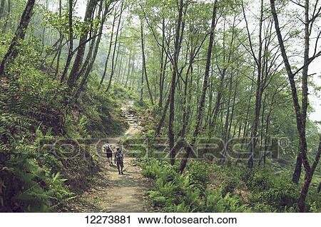 Stock Image - Hiking the Annapurna Route; Pokhara, Nepal. Fotosearch