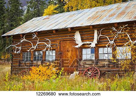 Stock Image - Historic log cabin surrounded by golden fall colors, Wrangell-St. Elias National Park & Preserve, Southcentral Alaska, Autumn.. Fotosearch