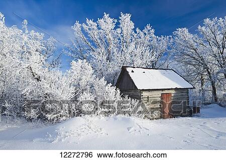 Stock Photograph - Hoarfrost on trees and old log building near Beausejour; Manitoba, Canada. Fotosearch