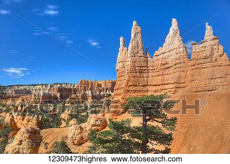 Hoodoos on the Queens Garden Trail, Bryce Canyon National Park; Utah, United States of America View Large Photo Image Stock Photograph - Hoodoos on the Queens Garden Trail, Bryce Canyon National Park; Utah, United States of America. Fotosearch