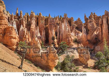 Stock Photograph - Hoodoos on the Queens Garden Trail, Bryce Canyon National Park; Utah, United States of America. Fotosearch