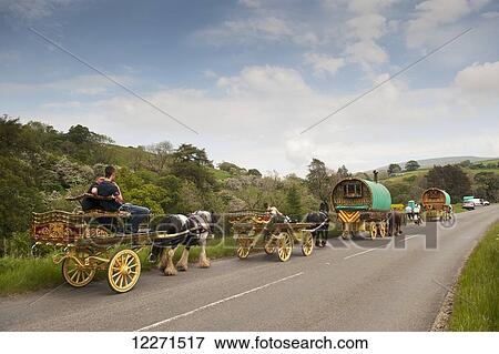 Horse drawn caravans heading towards the horse fair at Appleby in Westmorland along the A683 between Sedbergh and Kirkby Stephen, ready to camp on Cote Moor; Appleby-in-Westmorland, Cumbria, England View Large Photo Image Stock Photo - Horse drawn caravans heading towards the horse fair at Appleby in Westmorland along the A683 between Sedbergh and Kirkby Stephen, ready to camp on Cote Moor; Appleby-in-Westmorland, Cumbria, England. Fotosearch