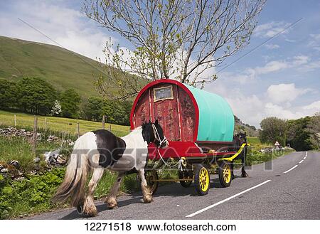 Horse drawn caravans heading towards the horse fair at Appleby in Westmorland along the A683 between Sedbergh and Kirkby Stephen, ready to camp on Cote Moor; Appleby-in-Westmorland, Cumbria, England View Large Photo Image Stock Photo - Horse drawn caravans heading towards the horse fair at Appleby in Westmorland along the A683 between Sedbergh and Kirkby Stephen, ready to camp on Cote Moor; Appleby-in-Westmorland, Cumbria, England. Fotosearch