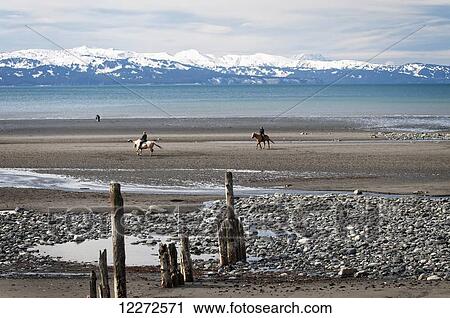 Stock Image - Horseback riders enjoy a ride on the beach of Homer Spit during a low tide, Kenai Peninsula, Southcentral Alaska, autumn. Fotosearch