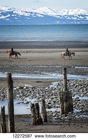 Horseback riders enjoy a ride on the beach of Homer Spit during a low tide, Kenai Peninsula, Southcentral Alaska, autumn View Large Photo Image Stock Photo - Horseback riders enjoy a ride on the beach of Homer Spit during a low tide, Kenai Peninsula, Southcentral Alaska, autumn. Fotosearch