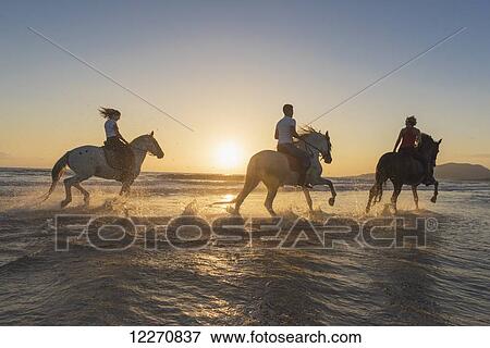 Horseback riding in the shallow water at sunset; Tarifa, Cadiz, Andalusia, Spain View Large Photo Image Stock Photo - Horseback riding in the shallow water at sunset; Tarifa, Cadiz, Andalusia, Spain. Fotosearch