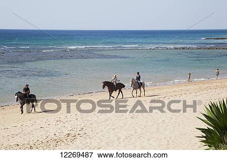 Horseback riding on the beach; Zahora, Andalusia, Spain View Large Photo Image Stock Photo - Horseback riding on the beach; Zahora, Andalusia, Spain. Fotosearch