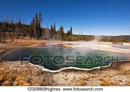 Hot springs in Yellowstone National Park; Wyoming, United States of America View Large Photo Image Stock Photograph - Hot springs in Yellowstone National Park; Wyoming, United States of America. Fotosearch