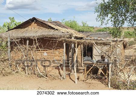House In Mahaboboka, Toliara Province, Madagascar View Large Photo Image Stock Image - House In Mahaboboka, Toliara Province, Madagascar. Fotosearch