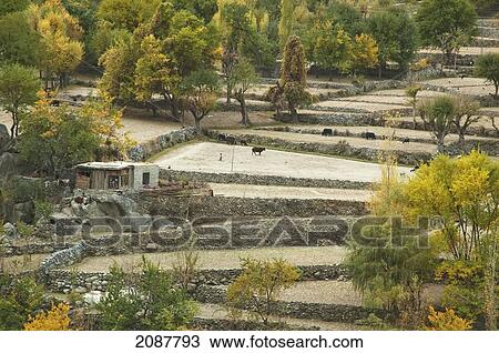 Houses And Fields On A Promontory In The Indus River Gorge, Skardu, Northern Areas, Pakistan View Large Photo Image Stock Image - Houses And Fields On A Promontory In The Indus River Gorge, Skardu, Northern Areas, Pakistan. Fotosearch