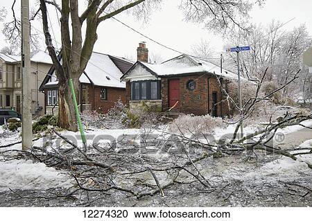 Stock Image - Ice storm damage in Leaside neighborhood; Toronto, Ontario, Canada. Fotosearch