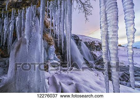 Icicles have formed in front of Gullfoss waterfall; Vik, Iceland View Large Photo Image Stock Photo - Icicles have formed in front of Gullfoss waterfall; Vik, Iceland. Fotosearch