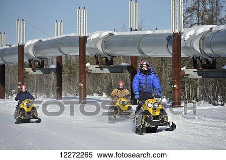 Stock Photography - Iron Dog Adventure guide leads a snowmachine tour along a section of the Trans-Alaska Pipeline near Chena Hot Springs Road outside of Fairbanks in Interior Alaska. Fotosearch