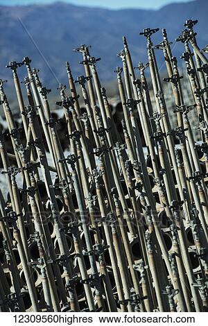 Stock Photograph - Irrigation pipes ready for installation; Gonzales, California, United States of America. Fotosearch