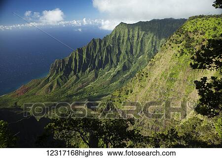 Stock Photograph - Kalalau Valley from Waimea Canyon State Park; Kokee, Kauai, Hawaii, United States of America. Fotosearch