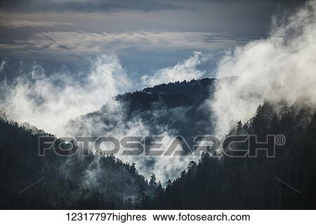 Stock Photograph - Kimshan Cove, Chichagof Island, West Chichagof Yakobe Wilderness, Tongess National Forest, Southeast Alaska, USA. Fotosearch