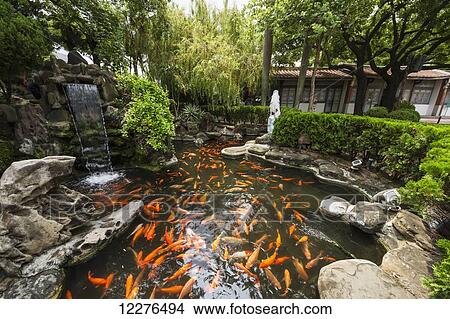 Koi in the moat around Chihkan Tower (Fort Provintia); Tainan, Taiwan View Large Photo Image Picture - Koi in the moat around Chihkan Tower (Fort Provintia); Tainan, Taiwan. Fotosearch