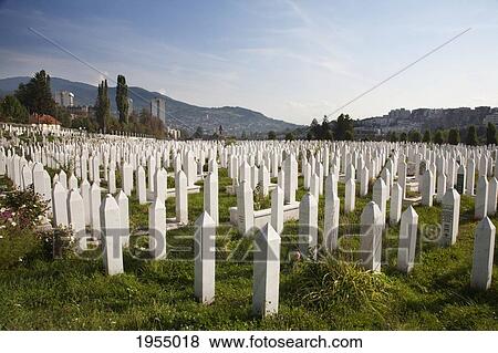 Kosevo Cemetery was built during the war on the site of former football practice pitches of Sarajevo, Bosnia and Herzegovina View Large Photo Image Stock Photo - Kosevo Cemetery was built during the war on the site of former football practice pitches of Sarajevo, Bosnia and Herzegovina. Fotosearch