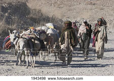 Kuchi Nomad Family And Their Donkeys On The Kabul To Sarobi Road, Kabul Province, Afghanistan View Large Photo Image Stock Photo - Kuchi Nomad Family And Their Donkeys On The Kabul To Sarobi Road, Kabul Province, Afghanistan. Fotosearch