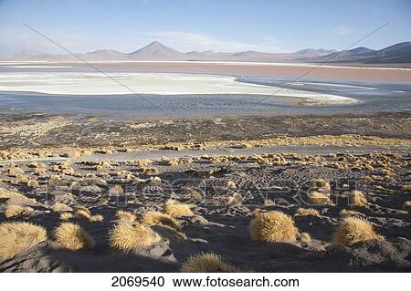 Stock Image - Laguna Colorada, Eduardo Avaroa National Park, Potosi Department, Bolivia. Fotosearch
