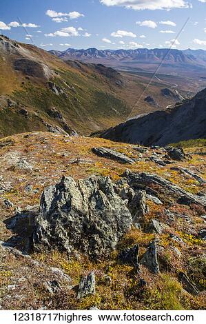 Landscape In The Rocky High Country Denali National Park