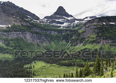 Stock Photograph - Landscape with mountains, cliffs and forest in the valley; Browning, Montana, United States of America. Fotosearch