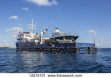 Large sports fishing boat; Tahiti View Large Photo Image Stock Image - Large sports fishing boat; Tahiti. Fotosearch